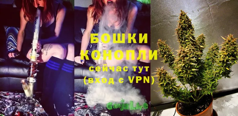 Канабис White Widow  Белинский 